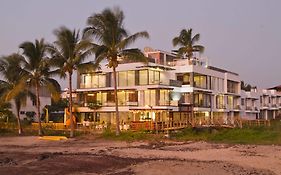 Golden Bay Galapagos